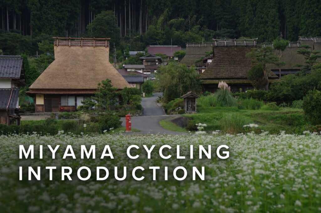 Traditional thatched-roof houses in Miyama, Kyoto, seen beyond a field of white flowers.