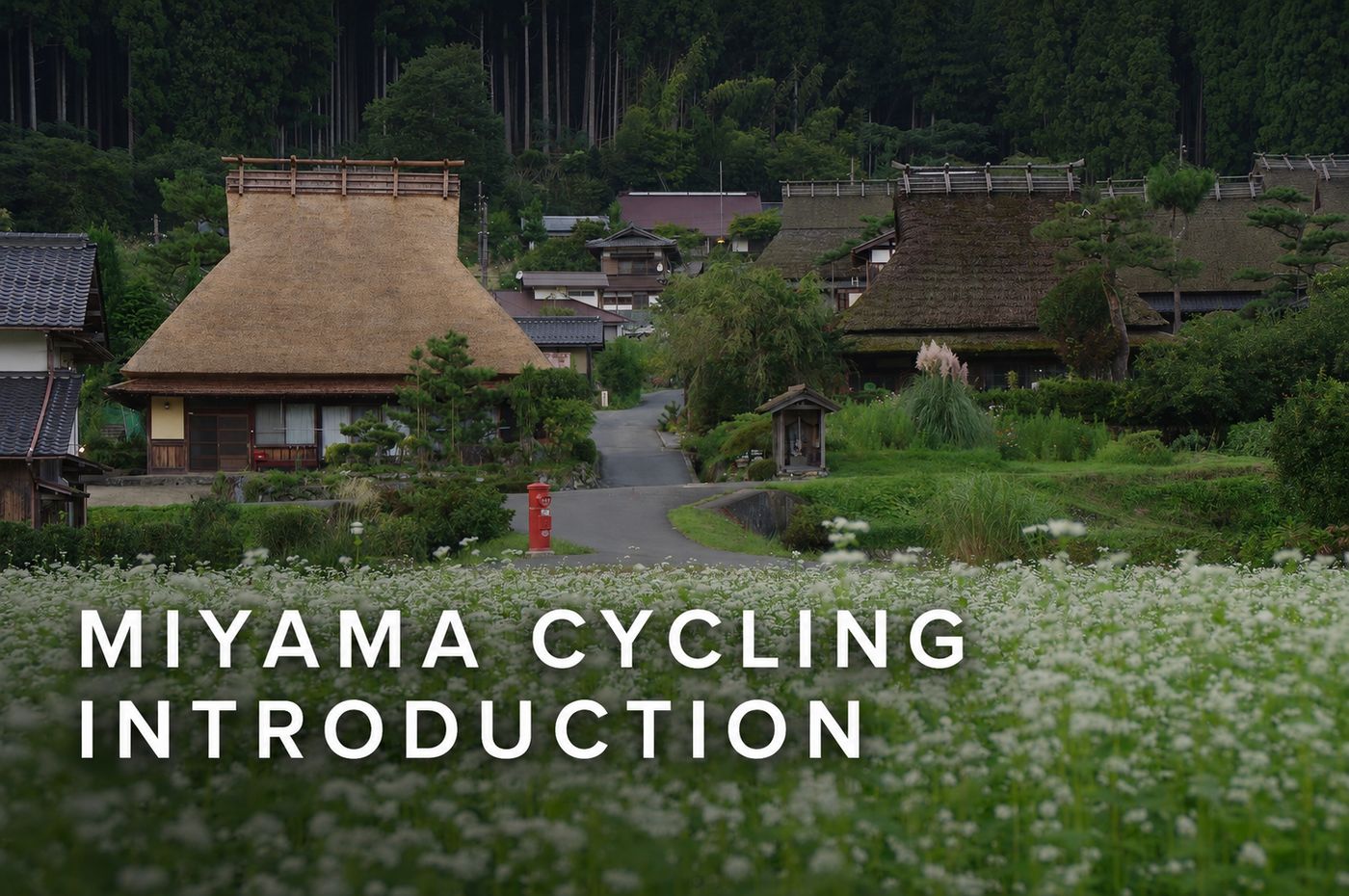 Traditional thatched-roof houses in Miyama, Kyoto, seen beyond a field of white flowers.