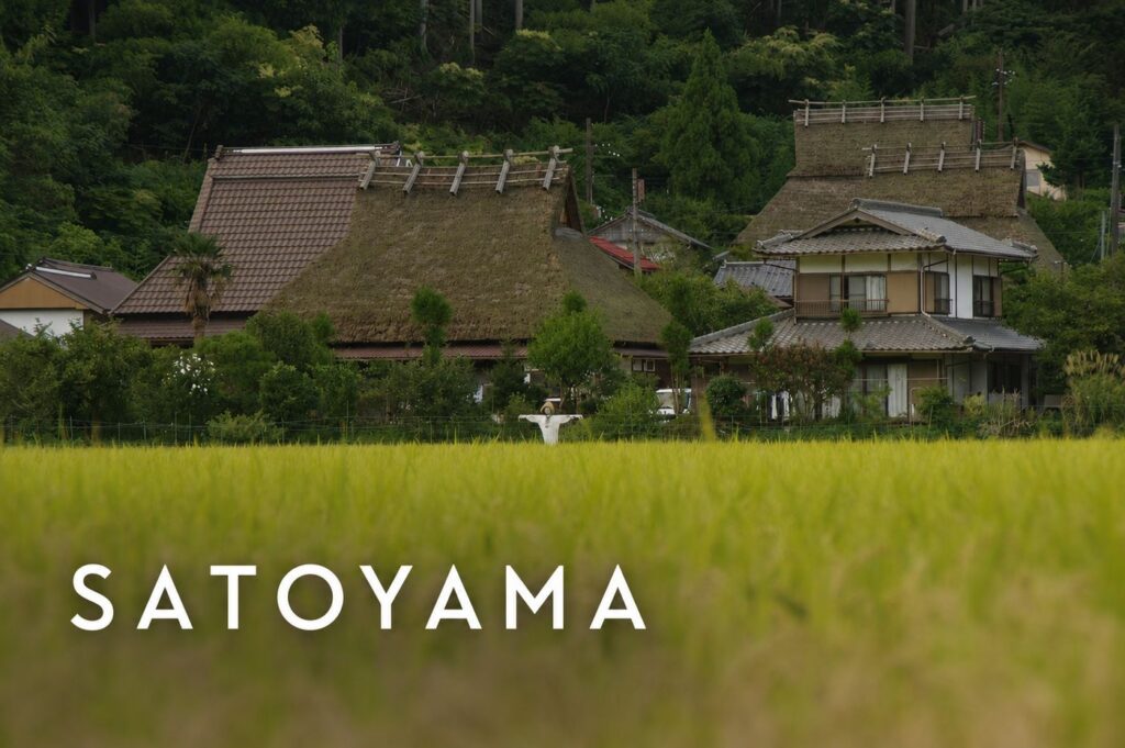 A peaceful satoyama landscape in Miyama, Kyoto, with rice fields and traditional thatched-roof houses.